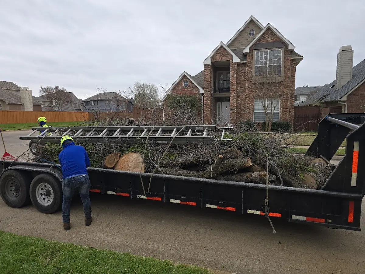 Expert Tree Fertilization with proper safety equipment in Stuart